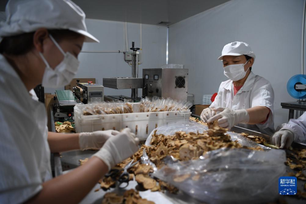 打鱼赢钱微信提现